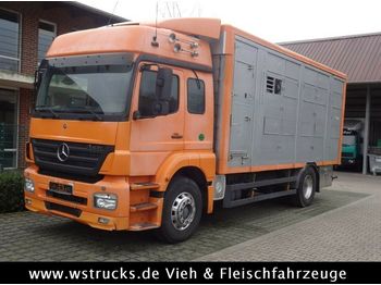 شاحنة نقل المواشي Mercedes-Benz  Axor 1833 2 Stock Michieletto: صورة 1