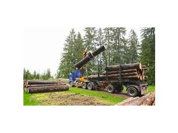 مقطورة الغابات Scania DOLL M134 kombizug do drewna dłużycy lasu stosu epsilon loglift doll huttner volvo: صورة 1