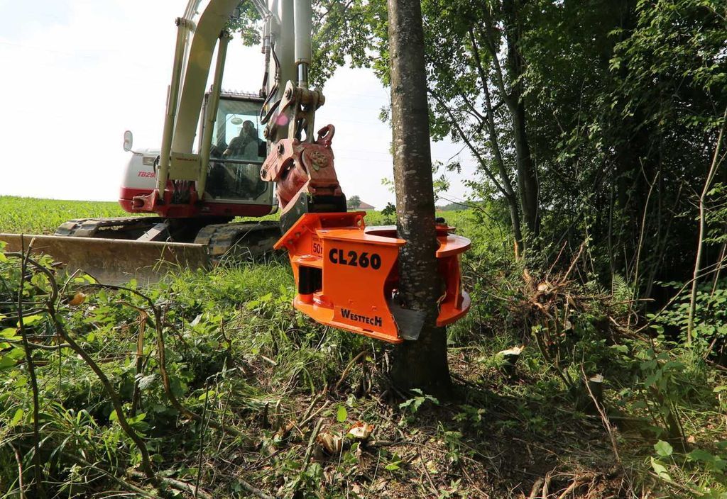 جديدة آلة قطع الأشجار Westtech Woodcracker CL260 Fällkopf Fällgreifer: صورة 6
