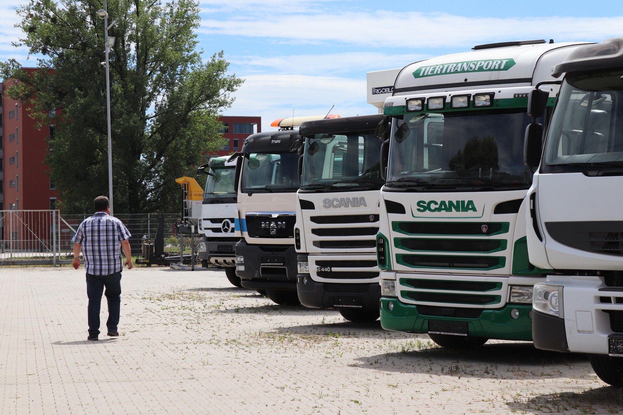 Donau Trucks GmbH undefined: صورة 3